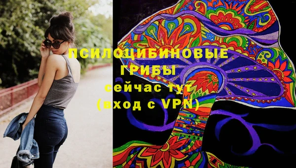 стафф Балахна